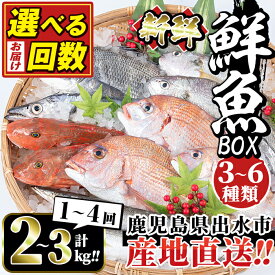 【ふるさと納税】＜配送回数を選べる！＞出水の鮮魚おためしBOX(約2〜3kg程度・3〜6種類／1回 or 3回 or 4回)魚 鮮魚 鹿児島県 出水近海 お寿司 煮付 料理 旬 何が届くかはお楽しみ 定期便 詰め合わせ 詰合せ 冷蔵【出水はやし】