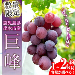 yӂ邳Ɣ[ŁzᐔʁEԌqeʂIׂIr  (v1kg^v1.5kg^v2kg) Ԃǂ ʕ    {  ① t[c Y os yRԂǂz