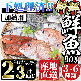 【ふるさと納税】＜下処理済・加熱用＞おまかせ鮮魚BOX(約2～3kg程度・3～6種類) 魚 鮮魚 下処理済み 鹿児島県 出水近海 煮付 料理 旬 何が届くかはお楽しみ【出水はやし】