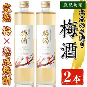 yӂ邳Ɣ[Łzsʌto̎葢~(500ml×2{) ~  AR[ n ~ E nĒ Î 葢 Â 썂~ bN \[_   ƈ  o