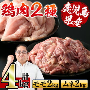 yӂ邳Ɣ[ŁzY{IEl(v4kgE2kg×e1P)  {  ނ˓ Y 炠 \e[ { ⓀyX[p[悵z
