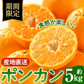 【ふるさと納税】＜2026年1月中旬以降順次発送予定＞ポンカン(約5kg) みかん ポンカン ぽんかん 柑橘 果物 くだもの フルーツ 旬 ミカン オレンジ 数量限定 期間限定【アーステクノ】