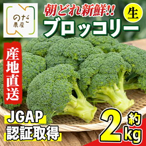 yӂ邳Ɣ[Łzs\tI2025N12{`4{̊Ԃɔ\ ubR[ 2kg (M`L)  o Y   ubR[ ǂ VN Yn JGAPF SS y