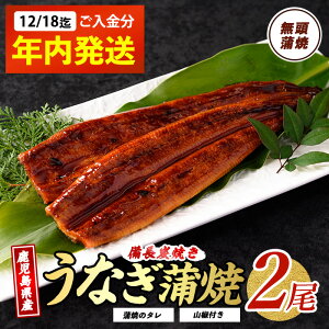 yӂ邳Ɣ[Łzy2025N1218܂ł̂ŔNzȂYʓ{IYV(wJ 135g×2A^ERt) Ȃ V EiM  Y Ă ΂₫ 