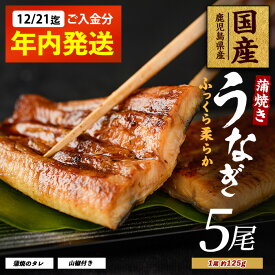 【ふるさと納税】【2025年12月21日までのご入金で年内発送】【鹿児島県産】 うなぎ蒲焼じっくり焼き約125g×5尾 化粧箱入り 鰻 ウナギ 蒲焼 国産 丑の日 うな重 無頭 ギフト プレゼント 贈り物 贈答 惣菜 総菜 小分け レンジ 簡単 蒲焼き 冷凍 鹿児島県産【大新】