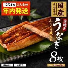 【ふるさと納税】【2025年12月21日までのご入金で年内発送】うなぎ蒲焼じっくり焼きハーフカット約70g×8枚 化粧箱入り 鰻 ウナギ 蒲焼 国産 丑の日 うな重 無頭 ギフト プレゼント 贈り物 贈答 惣菜 総菜 小分け レンジ 簡単 蒲焼き ハーフサイズ 冷凍 鹿児島県産【大新】