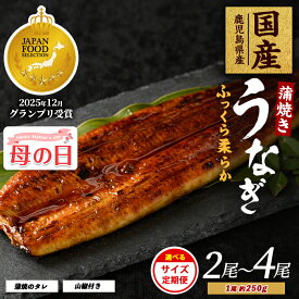 【ふるさと納税】【母の日におすすめ】4/29までの決済完了で5/8〜5/10にお届け！＜内容量が選べる＞鹿児島県産うなぎ蒲焼じっくり焼き(約250g×2尾〜約250g×4尾・木目化粧箱入り／定期便・約250g×2尾・木目化粧箱入り×3回) うなぎ ウナギ【大新】