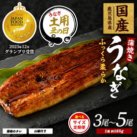 【ふるさと納税】＜丑の日用も選べる！7/20までの決済完了で7/15〜7/25にお届け＞＜内容量が選べる＞鹿児島県産うなぎ蒲焼(約165g×3尾〜約165g×5尾・たれ・山椒付／定期便・約165g×5尾・たれ・山椒付×3回) うなぎ 鰻 ウナギ 鹿児島 国産【大新】