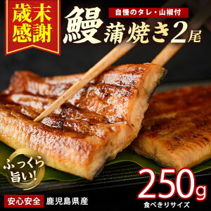 �y�ӂ邳�Ɣ[�Łz�_2025�N12��21���܂ł̂������ŔN�������^�y�Ζ����Ӂz�y���������Y�z���Ȃ����Ă�������Ă���125g×2�� ���ϔ����� �V �E�i�M ���� ���Y �N�̓� ���ȏd ���� �M�t�g �v���[