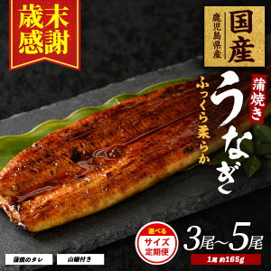 �y�ӂ邳�Ɣ[�Łz�_2025�N12��21���܂ł̂������ŔN�������^�y�Ζ����Ӂz�����e�ʂ��I�ׂ遄���������Y���Ȃ�����(��165g×3���`��165g×5���E����E�R���t�^����ցE��165g×5���E����E�R���t