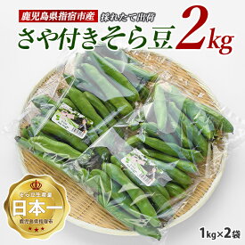 【ふるさと納税】＜先行予約受付中！2026年1月中旬以降順次発送＞鹿児島県指宿産！国産のさや付きそら豆(約2kg) 冬の寒さを経験した糖度が増した甘みの強いそら豆！ そら豆 そらまめ ソラマメ 野菜 旬 大容量 国産 産地直送 【アグリスタイル】