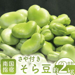 yӂ邳Ɣ[Łzs\tI2026N1{ȍ~whYIŶt瓤(2kg) ~̊oxÂ݂̋瓤I 瓤 ܂ \