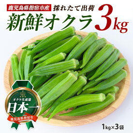 【ふるさと納税】【2026年5月下旬～発送】新鮮オクラ1kg×3袋 オクラ 旬 新鮮 採れたて 野菜 おひたし 天ぷら【アグリスタイル】