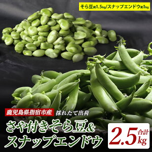yӂ邳Ɣ[Łzs\tI2026N1{ȍ~whYIŶ瓤t(1.5kg)ƃXibvGhE(1kg)̍v2.5kgI { e lߍ킹 瓤 