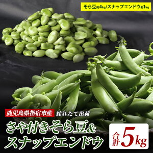 yӂ邳Ɣ[Łzs\tI2026N1{ȍ~whYIŶ瓤t(4kg)ƃXibvGhE(1kg)̍v5kgIVNȏԂł͂I  { 瓤 