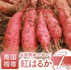 【ふるさと納税】＜先行予約受付中！2025年11月中旬以降順次発送＞鹿児島県指宿産さつまいも！紅はるか(約7kg) 鹿児島 さつまいも さつま芋 サツマイモ 紅はるか スイーツ おやつ デザート お菓子 常温 常温保存【アグリスタイル】