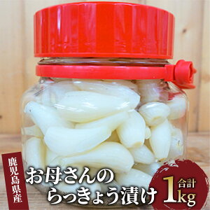 yӂ邳Ɣ[ŁznňĂÂ̓XE،̂ꂳ̂傤Ђ(1.2kg) 傤 傤Ђ Е Ђ  e Y yԂ،z