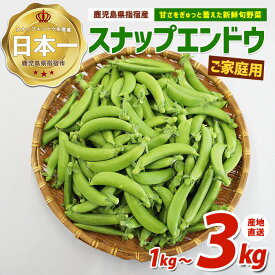 【ふるさと納税】＜2027年2月上旬以降発送＞＜訳あり＞産地直送！新鮮旬野菜！ご家庭用スナップエンドウ(約1kg / 約3kg) いぶすき特産品のスナップエンドウをお届け！ 野菜 旬 スナップエンドウ 訳あり 大容量 国産 詰め合わせ やさい 【指宿促成青果】