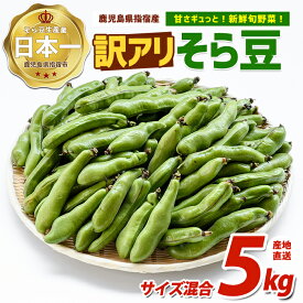【ふるさと納税】＜2027年3月上旬以降発送＞＜訳アリ・ご家庭用＞南国指宿産 そら豆 約5kg 産地直送！春の新鮮旬野菜 甘みたっぷり 鹿児島 指宿 そら豆 ソラマメ さや付き 産地直送 農家直送 春の味覚 塩茹で 焼きそら豆 野菜 国産【指宿促成青果】