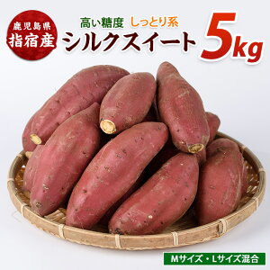 【ふるさと納税】<期間限定>鹿児島県指宿市産シルクスイート(合計約5kg) 鹿児島 さつまいも さつま芋 サツマイモ シルクスイート しっとり 蒸し芋 焼き芋 調理用 スイーツ おやつ デザー
