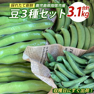 �y�ӂ邳�Ɣ[�Łz��2026�N1����{�ȍ~�����\�聄��3��Z�b�g (����܂� ��1.5kg�E�X�i�b�v�G���h�E ��800g�E�܂߂����� ��800g) �� ����ǂ��� �O�����s�[�X �������Y ���Y�i �̂ꂽ�� �V�N��� 