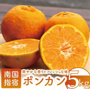 yӂ邳Ɣ[ŁzԌI2025N12{ȍ~whYI|J(5kg)kCEzs  |J ۂ񂩂 ʕ  t[c k Ԃ 