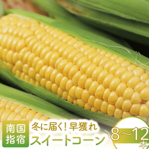 �y�ӂ邳�Ɣ[�Łz�����Ԍ���I2025�N12���`���������l��X�C�[�g�R�[��(8�`12�{)�g�E�����R�V �Ƃ����낱�� �R�[�� �X�C�[�g�R�[�� �T�j�[�V���R�� ���l�� ��� �n�E�X �n�E�X�͔| �L�@ �I�[