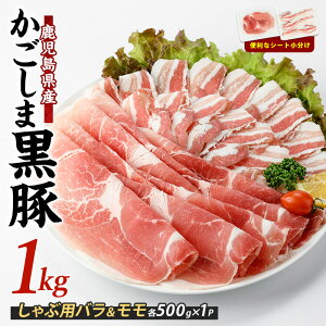 yӂ邳Ɣ[Łz10cƓȓɔ whY̘Z؂Ԃԓ(v1kgEoAe500g) ؓ  Ԃ  ؃o XCX yXz