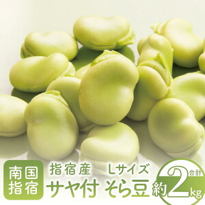 yӂ邳Ɣ[Łzs\tI2026N1{ȍ~whYTt瓤(LTCYE2kg)  { 瓤 ܂ \} e Y lߍ킹 ₳ yX