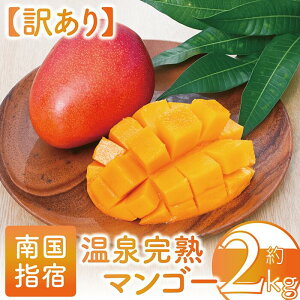 yӂ邳Ɣ[Łzs\tI2026N7{ȍ~y󂠂z򊮏n}S[(2kgE4`6)ʕ t[c n X[W[ W[X  { 썑 ƒp p  