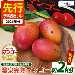 yӂ邳Ɣ[Łzs\tI2026N7{ȍ~y󂠂z򊮏n}S[(2kgE4`6)ʕ t[c n X[W[ W[X  { 썑 ƒp p  