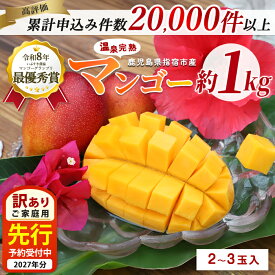【ふるさと納税】＜2027年先行予約＞【高評価4.84】 訳あり 温泉完熟マンゴー(約1kg・2〜3玉) 果物 フルーツ 完熟 ジュース 夏 旬 南国 家庭用 鹿児島 ふるさと納 マンゴー 訳あり ふるさと 人気 ランキング 【トロピカルフルーツ＆プランツ】