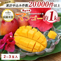 【ふるさと納税】＜2026年 発送＞訳あり 温泉完熟マンゴー(約1kg・2...