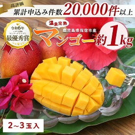 【ふるさと納税】＜2026年 発送＞温泉完熟マンゴー(約1kg・2〜3玉) 果物 フルーツ 完熟 スムージー ジュース 夏 旬 南国 家庭用 自宅用 鹿児島 いぶすき【トロピカルフルーツ＆プランツ】