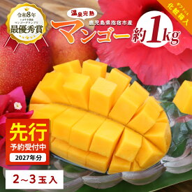 【ふるさと納税】 ＜2027年 発送＞指宿産 温泉完熟マンゴー約1kg(2〜3玉) 鹿児島 指宿市 マンゴー 果物 くだもの フルーツ スムージー 完熟 夏 旬 いぶすき【トロピカルフルーツ&プランツ】