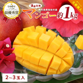 【ふるさと納税】＜先行予約 2026年7月中旬～＞ 指宿産 温泉完熟マンゴー約1kg(2〜3玉) 鹿児島 指宿市 マンゴー 果物 くだもの フルーツ スムージー 完熟 夏 旬 いぶすき【トロピカルフルーツ&プランツ】