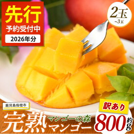 【ふるさと納税】＜先行予約受付中！2026年7月上旬以降順次発送＞【訳あり】しあわせ完熟マンゴー 約800g 2玉 ～ 3玉 国産 南国 指宿産 鹿児島 アップルマンゴー マンゴー 果物 くだもの フルーツ 完熟 産地直送 お取り寄せ 夏【マンゴーの森】