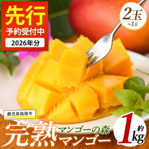 yӂ邳Ɣ[Łzs\tI2026N7{ȍ~whY킹n}S[(900g`1kgE2`3) Y 썑 whY  Abv}S[ }S[ ʕ  t[