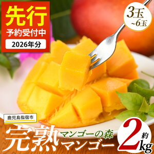 yӂ邳Ɣ[Łzs\tI2026N7{ȍ~whY킹n}S[(2kgE3ʁ`6) Y 썑 whY  Abv}S[ }S[ ʕ  t[c 