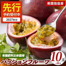 【ふるさと納税】＜先行予約受付中！2027年5月上旬以降順次発送＞ 鹿児島県指宿市産パッションフルーツ(10〜14玉入り)フルーツ 果物 パッションフルーツ 国産 果実 旬 指宿 鹿児島 デザート おやつ 送料無料【マンゴーの森】