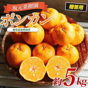 �y�ӂ邳�Ɣ[�Łz��2026�N1����{�ȍ~�������������ʌ���I�݂���_�� �⌳���񂿂̃|���J�� �����p(��5�L���A���ϔ��E�T�C�Y���܂���) ������ �|���J�� �ۂ񂩂� �ʕ� �������� �t���[�c 