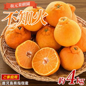 【ふるさと納税】＜先行予約受付中！2026年2月上旬以降順次発送＞＜訳あり＞みかん農家の坂元さんちの不知火ご家庭用(約4kg程度) 鹿児島 不知火 みかん 柑橘 フルーツ 果物 訳あり ご家庭用【坂元果樹園】