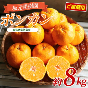 �y�ӂ邳�Ɣ[�Łz��2026�N1����{�ȍ~�����������󂠂�I�݂���_�� �⌳���񂿂̃|���J�����ƒ�p (��8kg) ������ �|���J�� �ۂ񂩂� �ʕ� �������� �t���[�c ���k �󂠂� ���Ԃ��� �퉷 ��