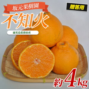 yӂ邳Ɣ[ŁzԌI2026N2{ȍ~ʌI⌳񂿂̕sm(4kgE10`12)b܂ꂽR̒ňĂAZȊÂ̐lCiI  sm ݂