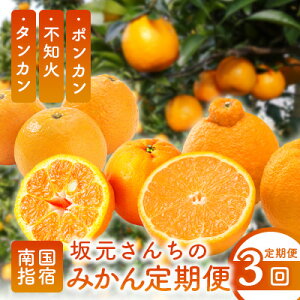 yӂ邳Ɣ[Łz2026N1A3񂨓͂yցES3(A)z⌳񂿂݂̂(ۂ񂩂Asm΁A񂩂)whs[̓YIɂ͂I 