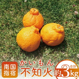 【ふるさと納税】＜期間限定！2026年1月上旬頃以降順次発送＞鹿児島県指宿市産のみかん！かいもん不知火(約3kg) 不知火 しらぬい みかん ミカン 柑橘類 フルーツ 果物 旬 大容量 冬 春 【迫田果樹園】