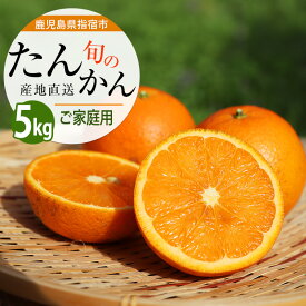 【ふるさと納税】＜2026年2月上旬以降順次発送＞＜期間・数量限定＞鹿児島県指宿市産のみかん！開聞たんかん(約5kg) 柑橘 タンカン たんかん 青果 果実 鹿児島 みかん オレンジ 常温 常温保存 ご家庭用【迫田果樹園】