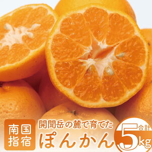 yӂ邳Ɣ[ŁzԌI2025N12{ȍ~whsYIJۂ񂩂(5kg)  |J ۂ񂩂 ʕ  t[c k In͔| ƒp ϔ 