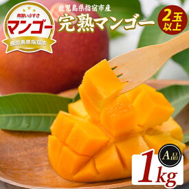 【ふるさと納税】＜先行予約受付中！2026年5月下旬以降順次発送＞鹿児島県指宿産 完熟マンゴー 約1kg 贈答用 完熟 フルーツ 果物 果実 デザート スイーツ 南国 化粧箱入【室屋植物園】
