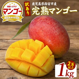 【ふるさと納税】＜先行予約受付中！2026年5月下旬以降順次発送＞【訳あり】鹿児島県指宿産 完熟マンゴー約1kg 訳あり ご家庭用 完熟 フルーツ 果物 果実 デザート スイーツ 南国【室屋植物園】